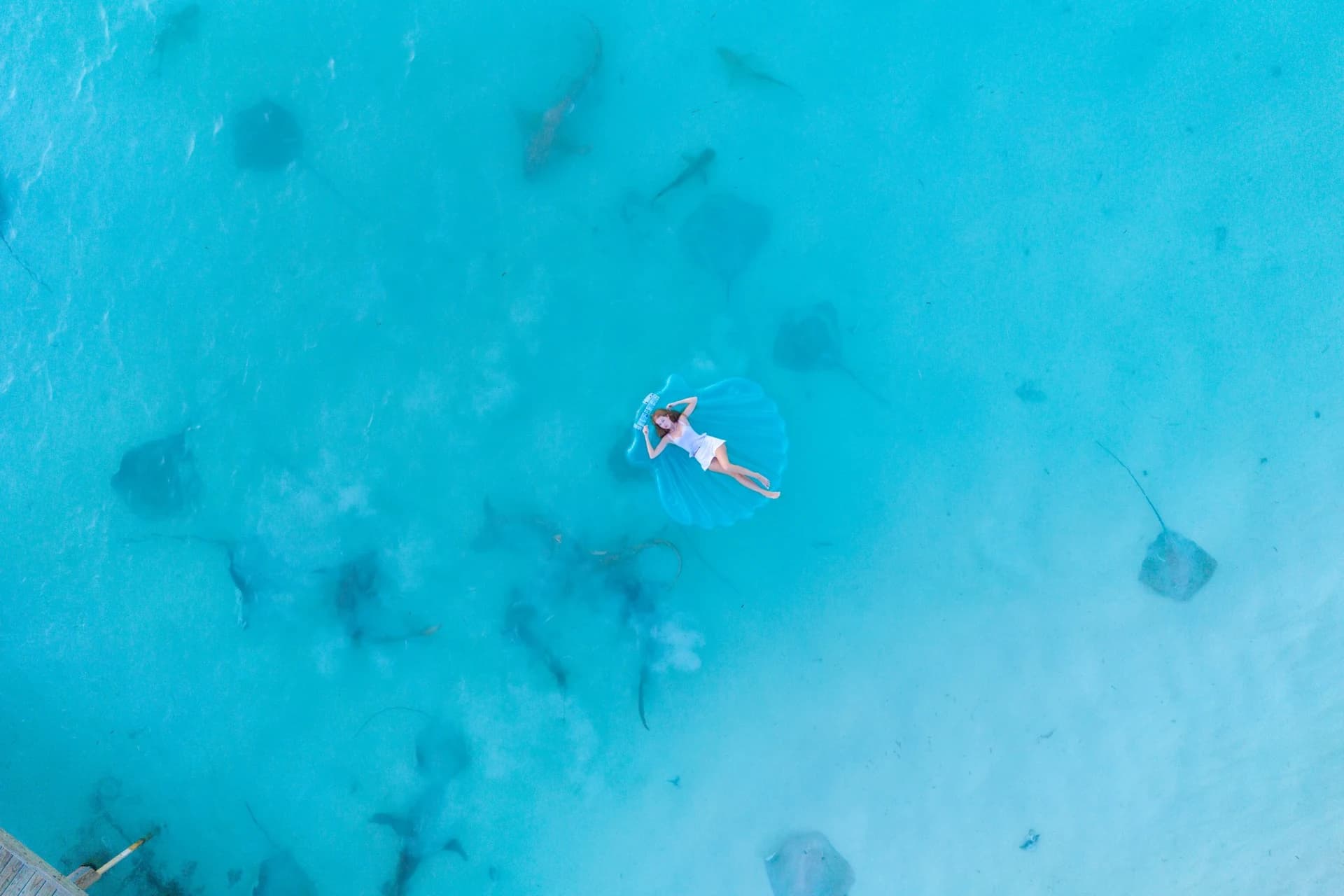 Aerial photograph of sharks and stingrays in Vahmaafushi’s turquoise lagoon